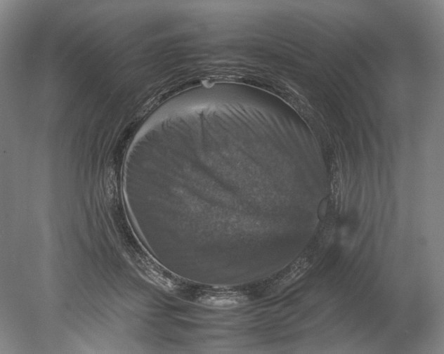 X0000080750459200701051215