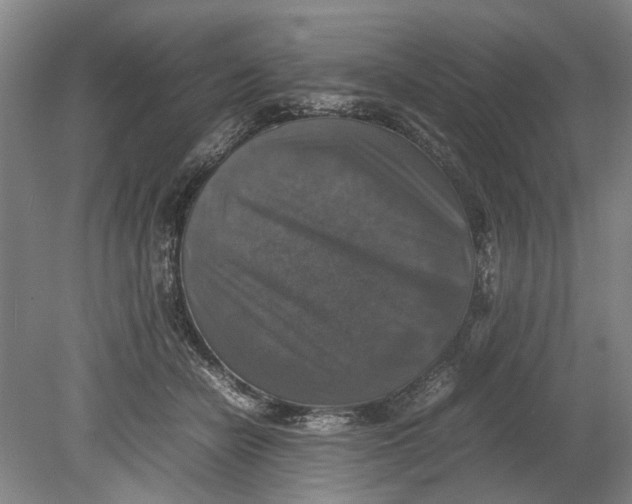 X0000080750462200701051215