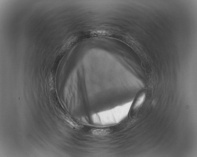 X0000080750465200701051215