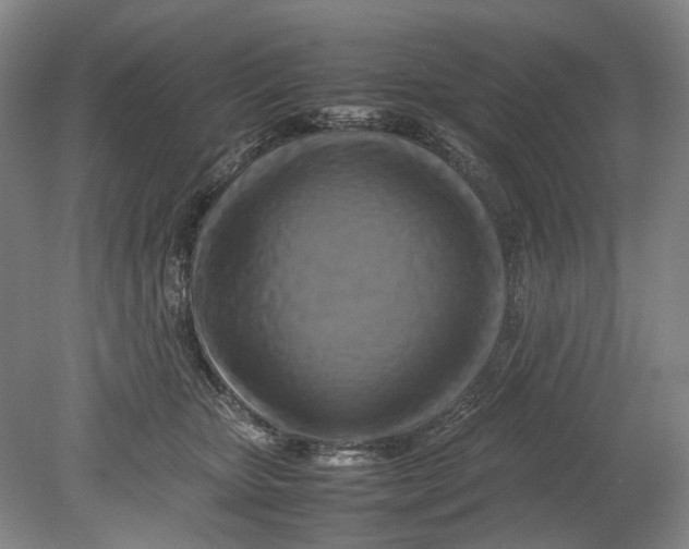 X0000080750467200701051215