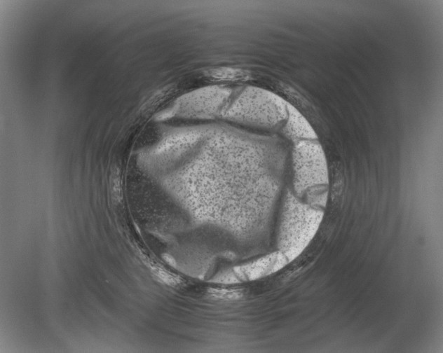 X0000080750469200701051215