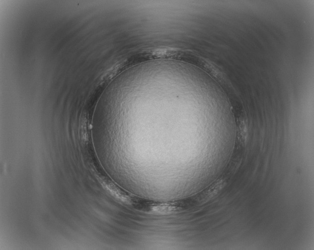 X0000080750470200701051215