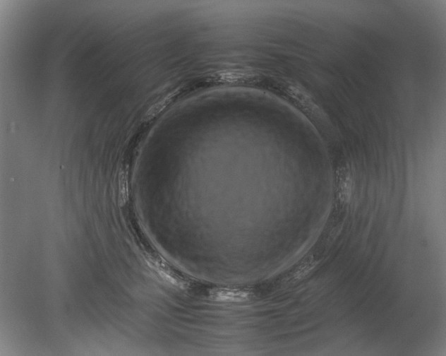 X0000080750471200701051215