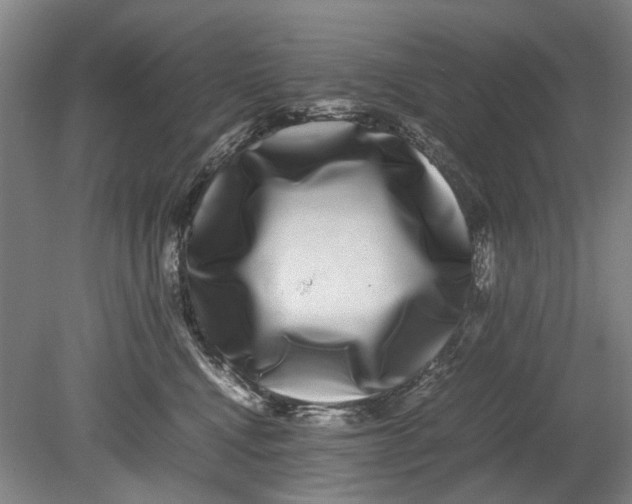 X0000080750472200701051215