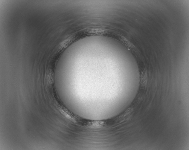 X0000080750474200701051215