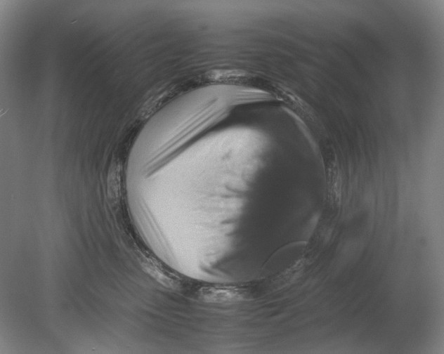 X0000080750475200701051215