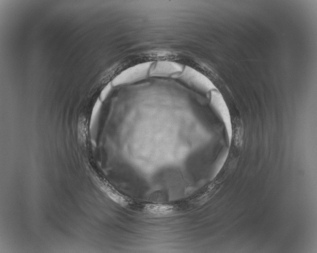 X0000080750476200701051215