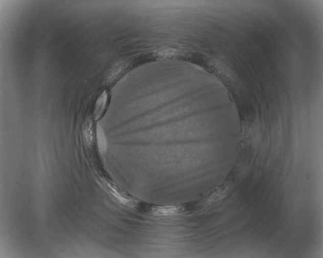 X0000080750479200701051215