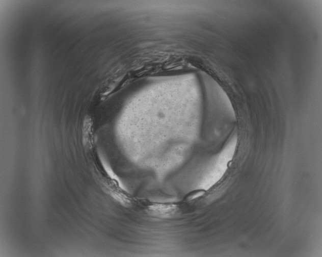 X0000080750480200701051215