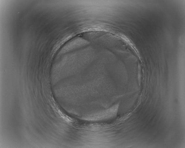 X0000080750481200701051214
