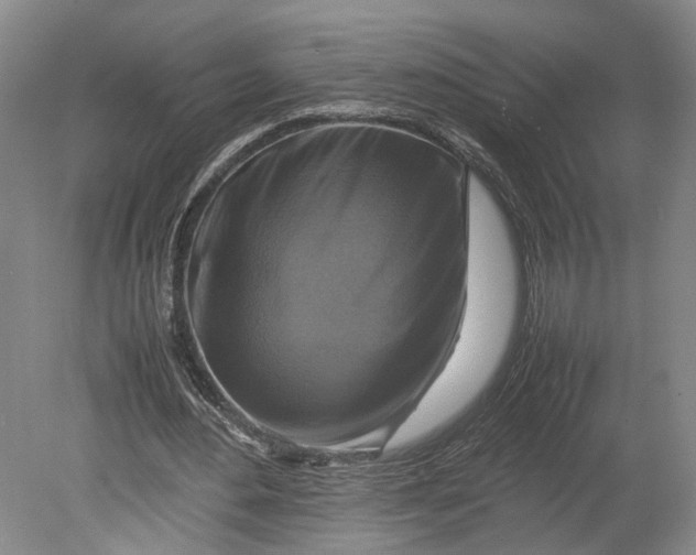 X0000080750484200701051214