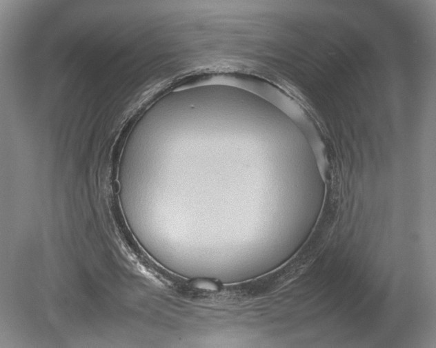 X0000080750485200701051214