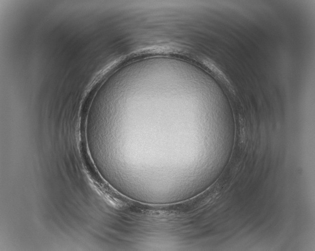 X0000080750486200701051214