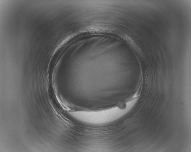 X0000080750488200701051214