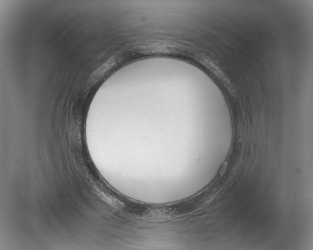 X0000080750489200701051214