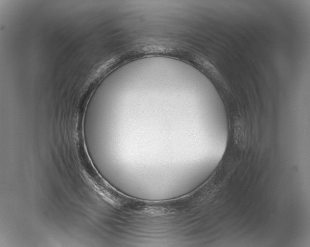 X0000080750490200701051214
