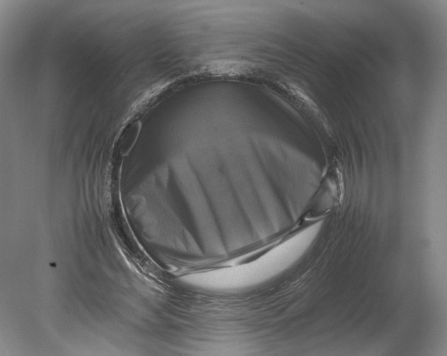 X0000080750492200701051214
