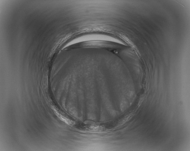 X0000080750493200701051214