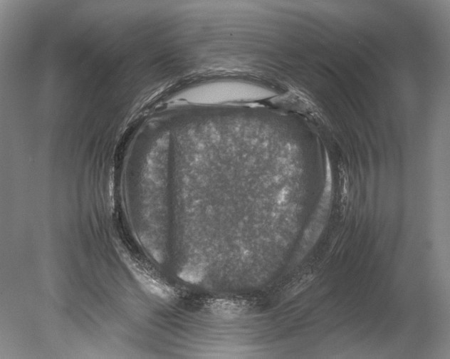 X0000080750494200701051214