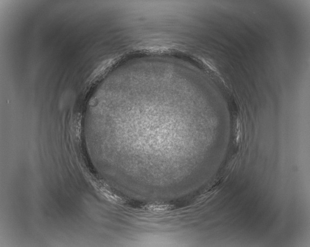 X0000080750495200701051214