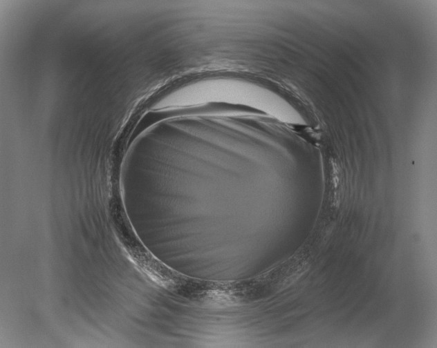 X0000080750496200701051214