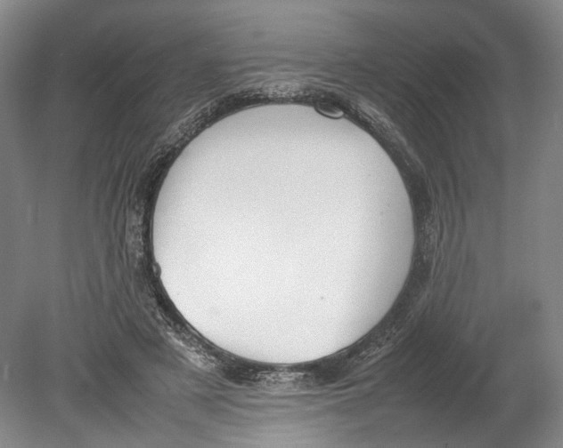 X0000080750497200701051214