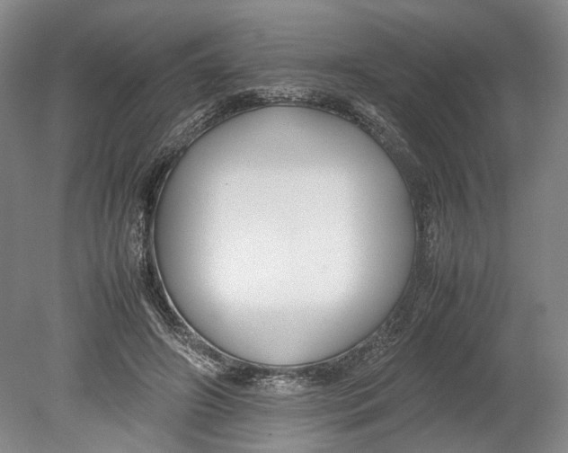 X0000080750498200701051214