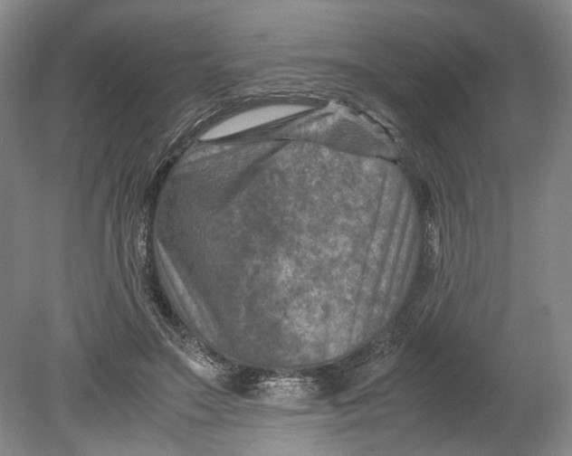 X0000080750499200701051214