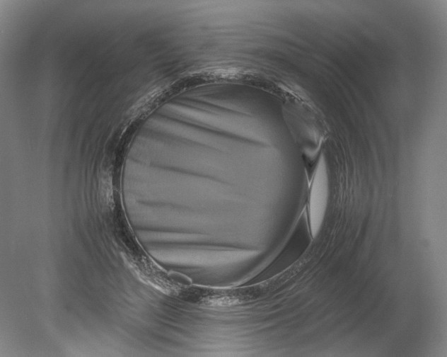 X0000080750500200701051214
