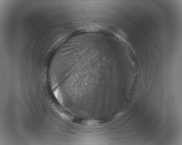 X0000080750501200701051214