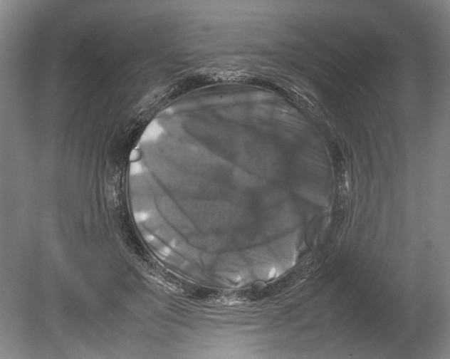 X0000080750503200701051214