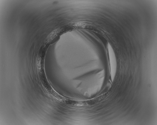 X0000080750504200701051214