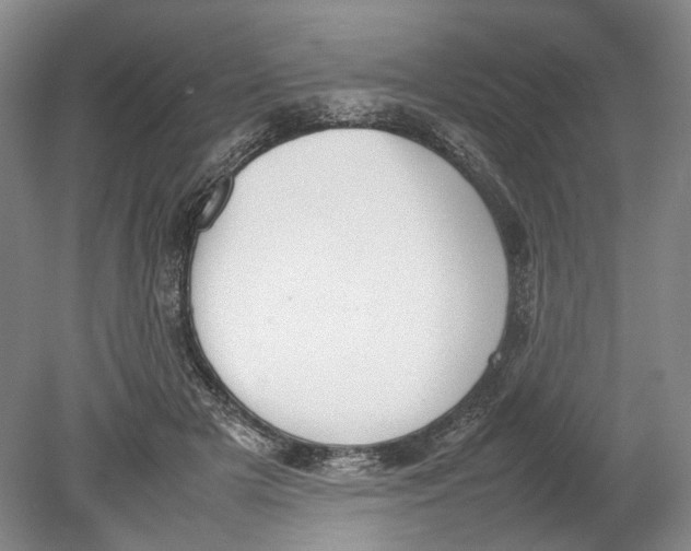 X0000080750505200701051214