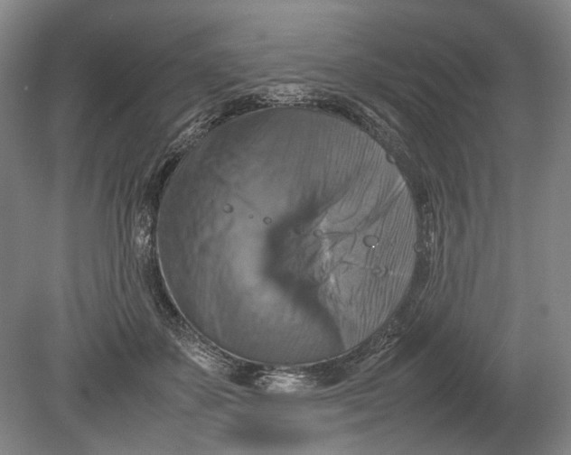 X0000080750507200701051214