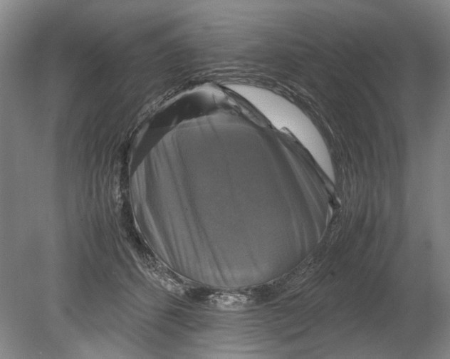 X0000080750512200701051214