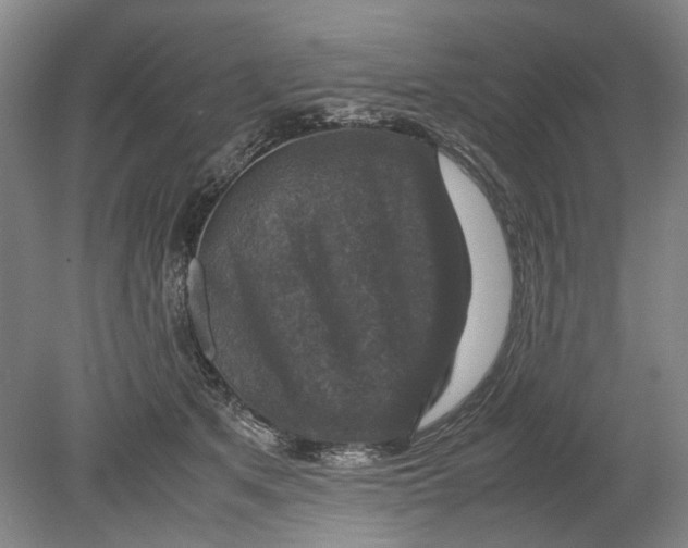 X0000080750513200701051214