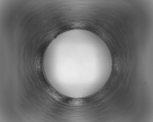 X0000080750514200701051214