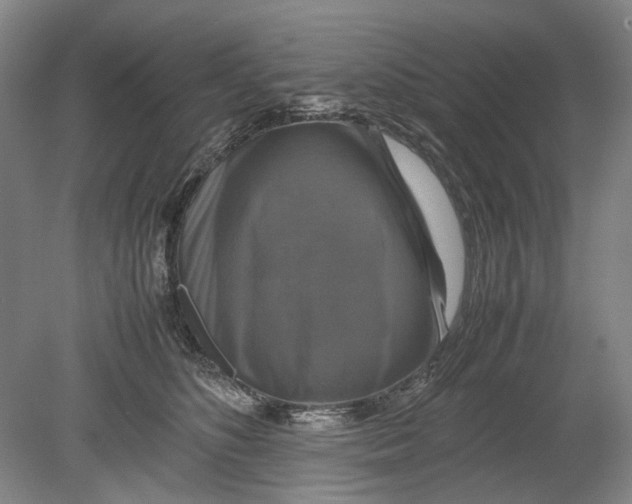 X0000080750516200701051214