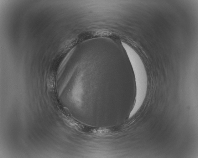 X0000080750517200701051214