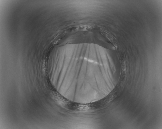 X0000080750519200701051214