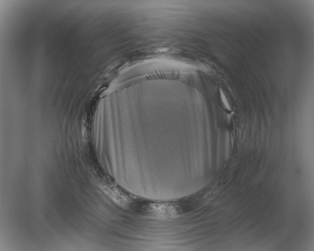 X0000080750520200701051213