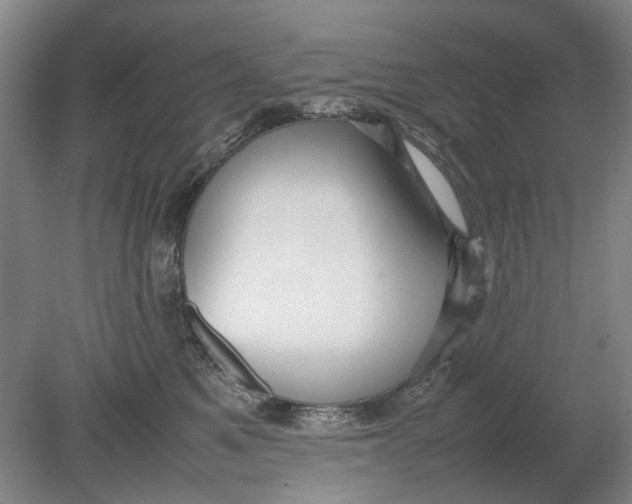 X0000080750521200701051213