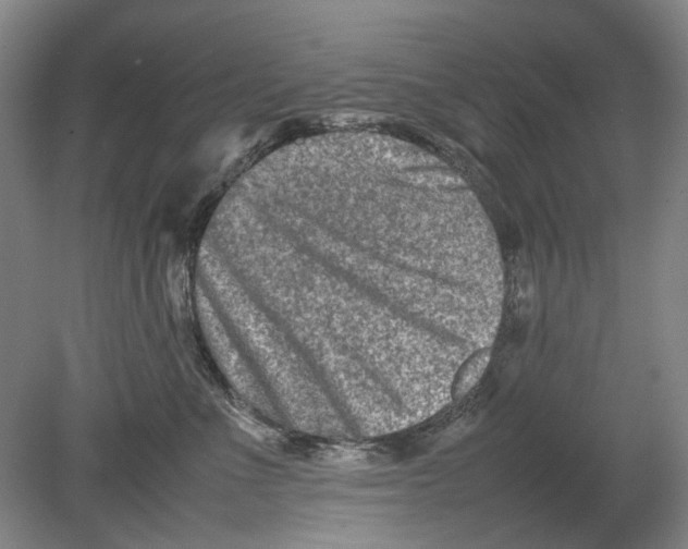 X0000080750523200701051213