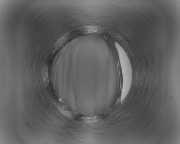 X0000080750524200701051213
