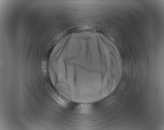 X0000080750526200701051213