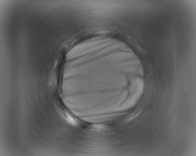 X0000080750528200701051213