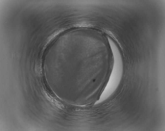 X0000080750531200701051213