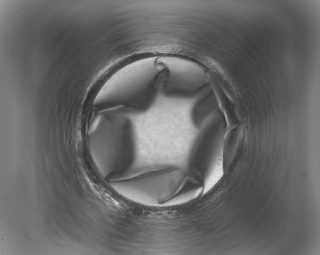 X0000080750532200701051213