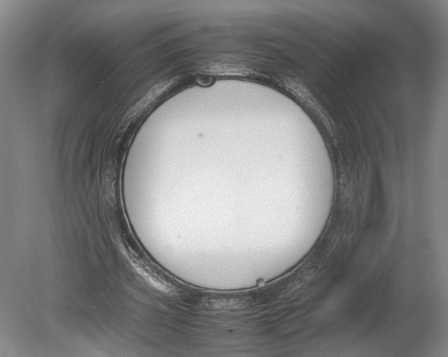 X0000080750533200701051213