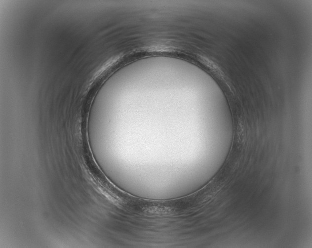 X0000080750535200701051213